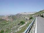 Sierra de las Nieves
